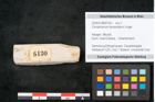 Foto (Objekt + Etikett) von Cinnamomum lanceolatum Unger (NHMW-GEO-2024-0188-8130)